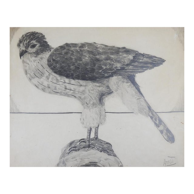 Vintage Hawk Drawing For Sale