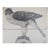 Vintage Hawk Drawing For Sale
