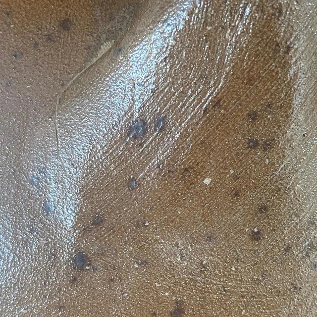 This olive jar is in sandstone, in a grey and brown color. It has been done in the south of France. It is stampted "20"....