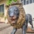 Large Bronze Sculptures of Lions, 1870, Set of 2 For Sale - Image 13 of 18