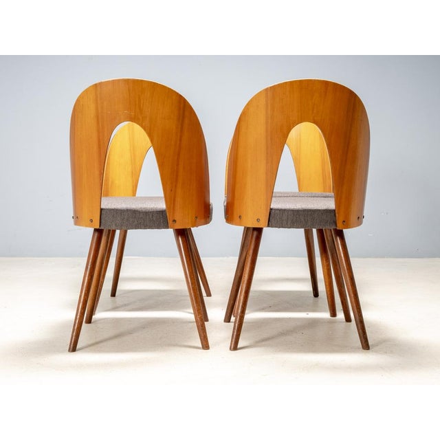 Dining Chairs by Antonín Šuman for Tatra Furniture, Czechoslovakia, 1960s, Set of 4 For Sale - Image 9 of 11