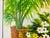 This large painting is sure to make your room! Easy to mix with any style, this botanical theme painting is cheerful and...