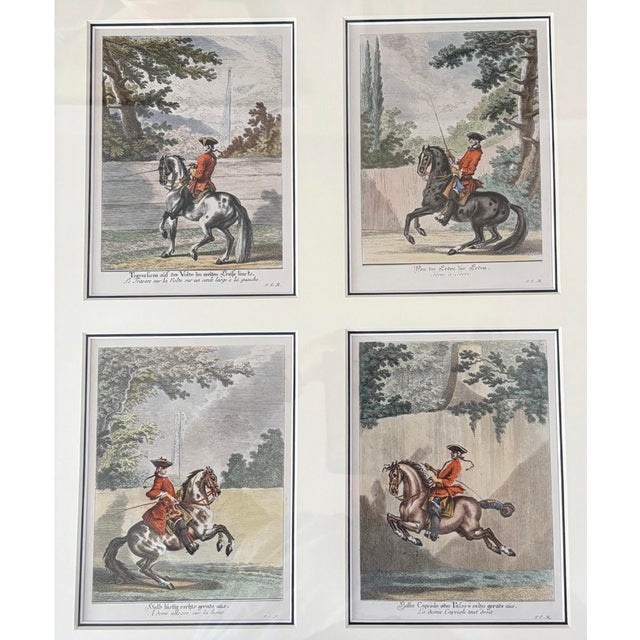 Johann Elias Ridinger, Equestrian Engravings, 1760, Etching, Framed For Sale - Image 10 of 12