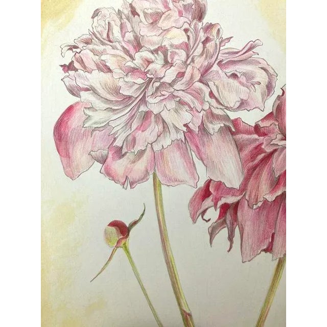 Vintage Style Floral, Peonies Original Mixed Media Drawing by Kathleen Ney For Sale - Image 9 of 9