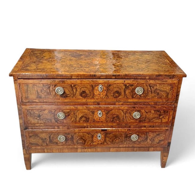 Louis XVI Three-Drawer Chest of Drawers in Olive Burl For Sale - Image 5 of 11