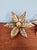 Willy Daro Floral Brass Wall Sconces by Willy Daro for Massive, 1970, Set of 2 For Sale - Image 4 of 14