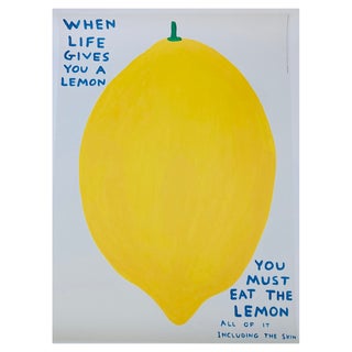 David Shrigley, When Life Gives You A Lemon, Lithographic Print For Sale