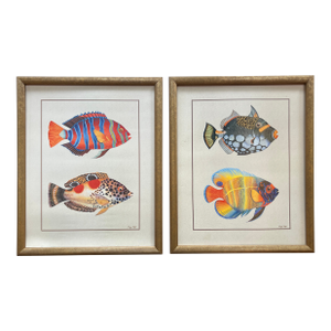 Late 20th Century 'Tropical Fish 1 & 2' Art Prints by Maggie Riegler - Pair