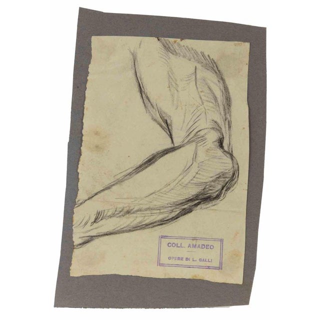 Anatomical studies is an original artwork realized by Luigi Galli in the late 19th Century. Pencil drawing on paper. The...