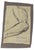 Anatomical studies is an original artwork realized by Luigi Galli in the late 19th Century. Pencil drawing on paper. The...
