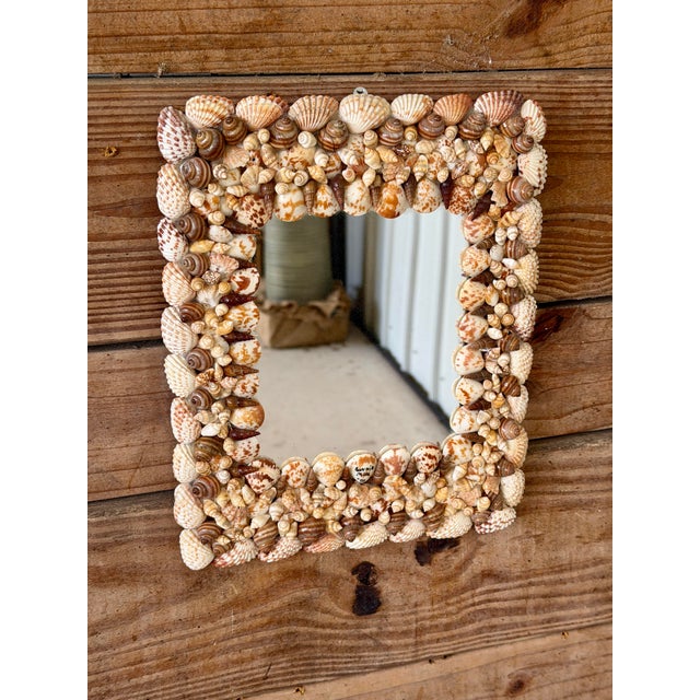 Vintage Organic Coastal Seashell Wall Mirror For Sale - Image 4 of 9