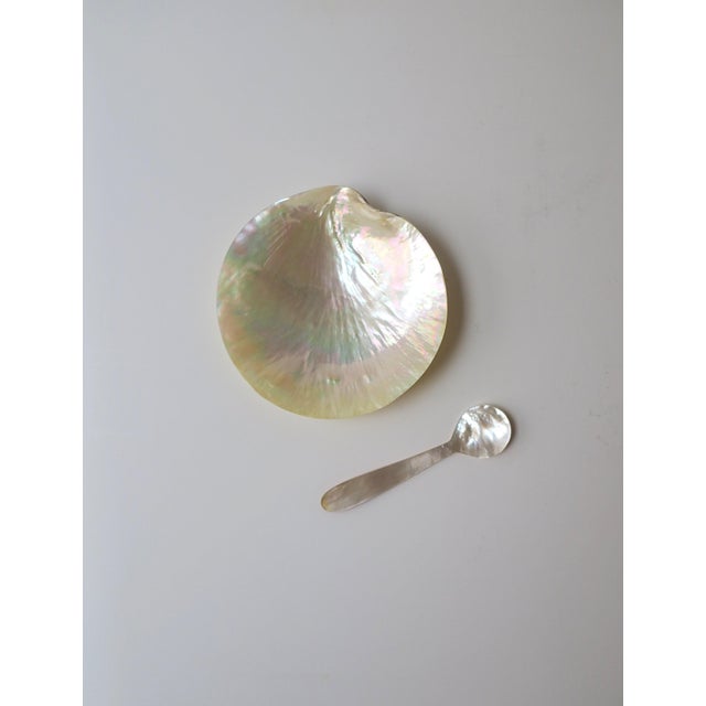 A beautiful set, two (2) pieces; a natural mother-of-pearl dish and spoon caviar set. Beautiful luster and iridescence.