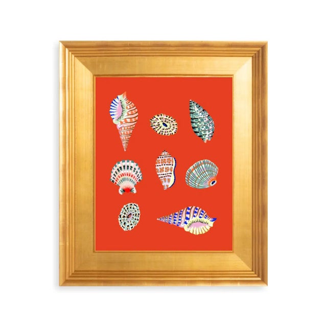 Contemporary "Beachcomber (Coral Red)" Contemporary Giclee Print by Sarah Gordon For Sale - Image 3 of 4