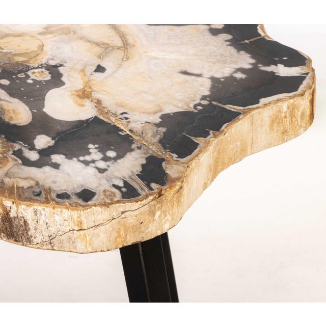 Late 20th Century Contemporary Petrified Wood Side Table For Sale - Image 5 of 10