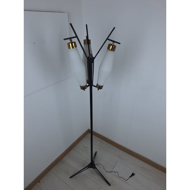 Mid-Century Modern Floor Lamp in Iron with Brass and Opal Glass, 1950s For Sale - Image 3 of 7