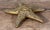 Vintage Brass Starfish Coastal Decorative Desk Object Sculpture / Paperweight For Sale - Image 4 of 6