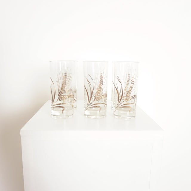 Art Deco Glasses with Grain Gold Design and Brass Holder, 1960, Set of 6, in Flawless conditions. Designed 1960 to 1969