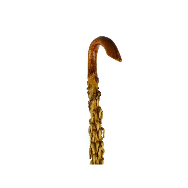 Mid 20th Century Handmade Organic Modern Natural Tropical Palm Wood Walking Cane For Sale - Image 4 of 10