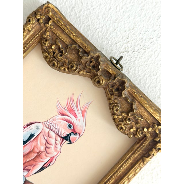 English Original Hand-Painted Cockatoo Painting in an Antique Victorian Frame For Sale - Image 3 of 4