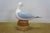 Vintage Lynda C. Bryan Hand Carved Pine Wooden Wildlife Herring Gull Sculpture For Sale - Image 13 of 14
