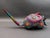 Mid 20th Century Oaxacan Wood Carved Painted Armadillo Snake Alebrije Mexican Art Sculpture 21.5" For Sale - Image 4 of 8