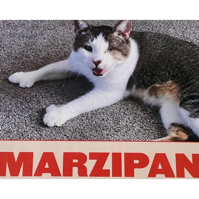 21st Century "Lost Marzipan" Outsider Street Pop Art of San Francisco For Sale - Image 9 of 9