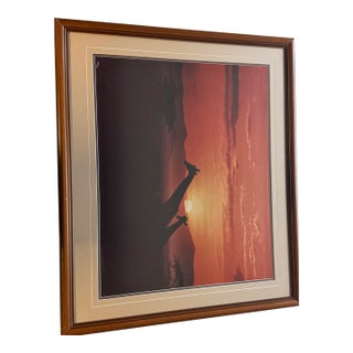 1987 Thomas D. Mangelsen Signed Limited Edition "Giraffes at Sunset" Framed Photo Print - 169/950 For Sale