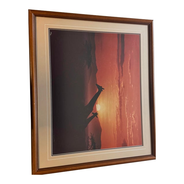 1987 Thomas D. Mangelsen Signed Limited Edition "Giraffes at Sunset" Framed Photo Print - 169/950 For Sale