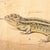 19th Century Czechoslovakian Educational Chart of Amphibians For Sale - Image 16 of 17