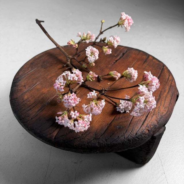 Japanese Wabi-Sabi Wooden Oke Lid Display Stand, 1910s For Sale - Image 5 of 11