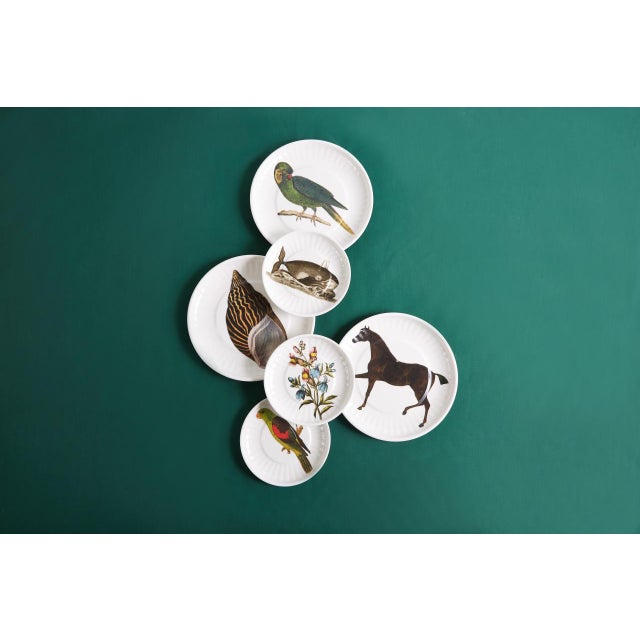 Parrot Small Paper Plates Melamine, Set of 4 For Sale In New York - Image 6 of 6