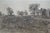 Antique Thatched Cottage Country Farmhouse Panoramic Landscape Etching 28" For Sale - Image 10 of 11
