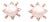 Diamond Akoya Pearl Earrings 14 Karat Yellow Gold Certified For Sale