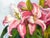 Pink Square Impasto Floral Painting of Lilies For Sale - Image 8 of 18