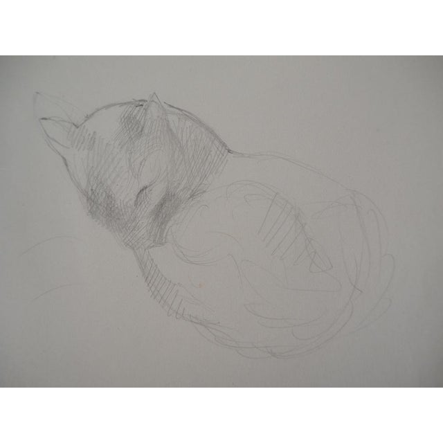 Marie Laurencin, Sleeping Cat, Original Pencil Drawing For Sale - Image 4 of 5