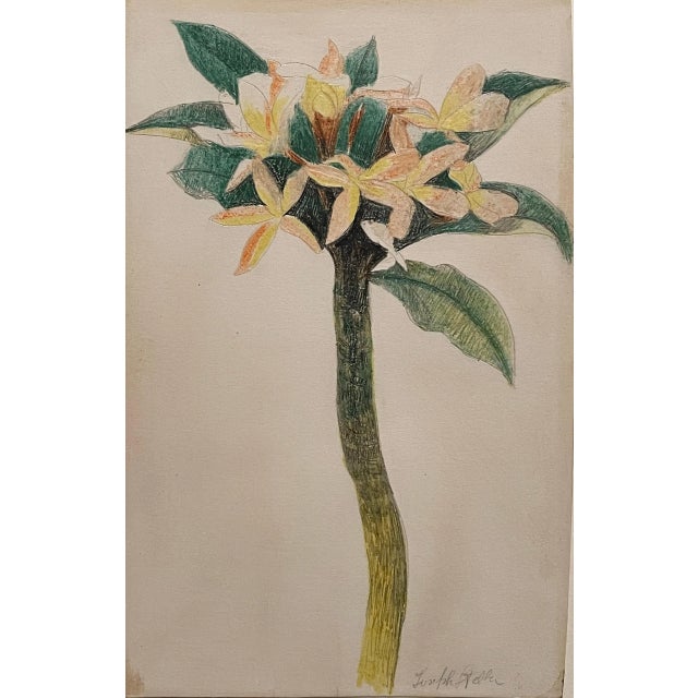 Joseph Stella "Flower Study". Crayon and pencil on paper. Expressive floral study by Joseph Stella, executed in pencil and...