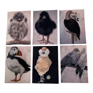 Set of Six Folded Note Cards Printed From My Original Drawings of Birds For Sale