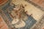 19th Century Zabihi Collection Fine Turkish Sivas Horse Pictorial Rug - 5'1" x 7'1" For Sale - Image 10 of 10