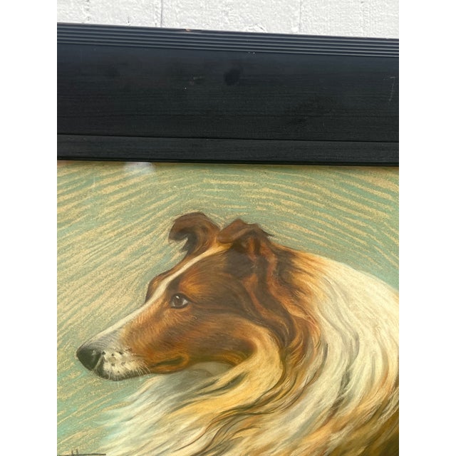 1910s Art Nouveau Pastel Portrait of a Collie For Sale In New York - Image 6 of 8