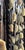 Antique Plow Threshing Board, Mounted Wall Sculpture, South of Spain For Sale - Image 9 of 11
