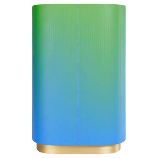 Opticabinet by Lisa Brustolin For Sale