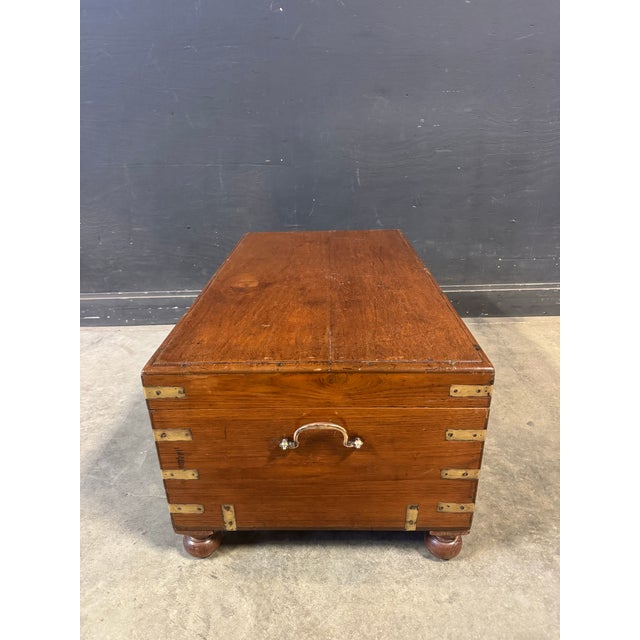 19th C. English Brass Bound Camphor Wood Campaign Trunk For Sale - Image 9 of 9