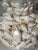 Vintage Large Glass Jars With Sea Shells For Sale - Image 9 of 12