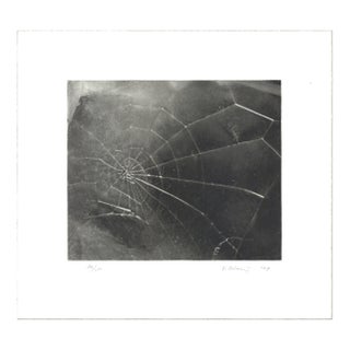 Vija Celmins Spider Web, 2009 - Signed For Sale