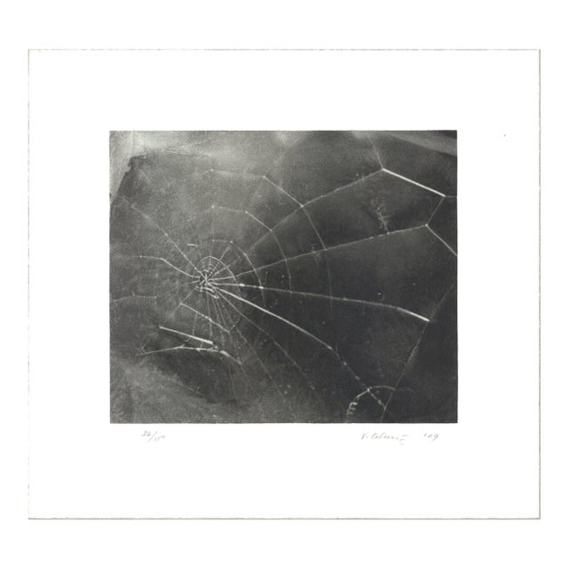 Vija Celmins Spider Web, 2009 - Signed For Sale