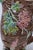 Antique English Majolica Rustic Floral Tree Bark Pitcher, Attributed to Shorter & Boulton For Sale - Image 13 of 18