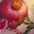 Original oil painting 'Pomegranate' on canvas 50x50 cm, 2023. This piece is attributed to the mentioned designer/maker. It...