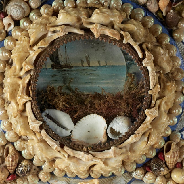 Late 19th Century Antique British Colonial Star Form Sailors Valentine For Sale - Image 5 of 7