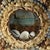 Late 19th Century Antique British Colonial Star Form Sailors Valentine For Sale - Image 5 of 7