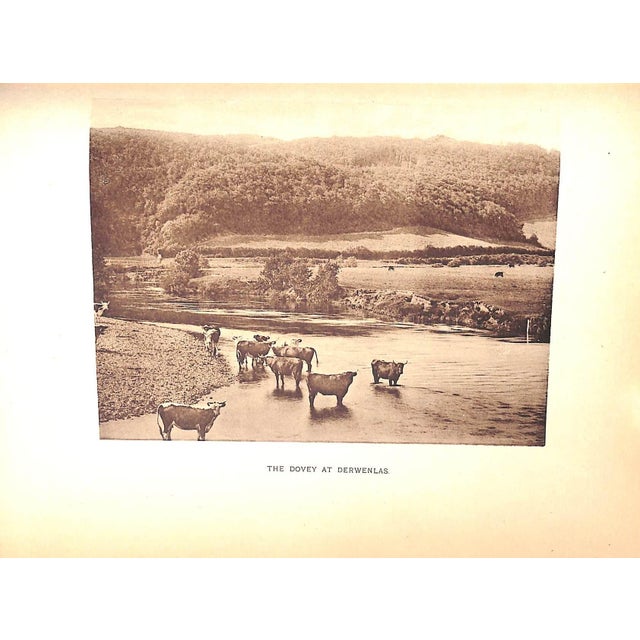 Paper "The Salmon and Sea Trout Rivers of England and Wales Volumes I and Il" 1904 Grimble, Augustus For Sale - Image 7 of 12